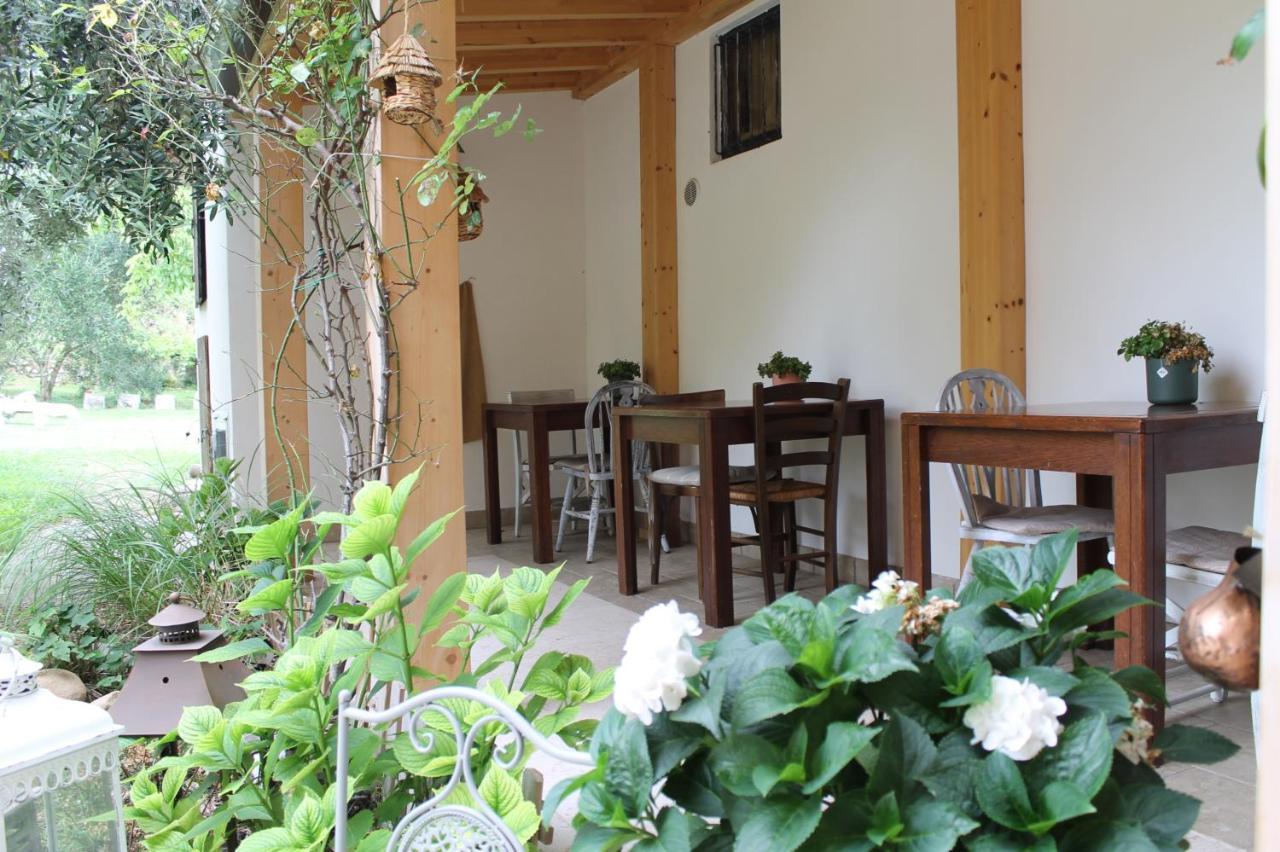 Agriturismo B&B Le Casette Sul Garda Кавайон Веронезе Екстериор снимка